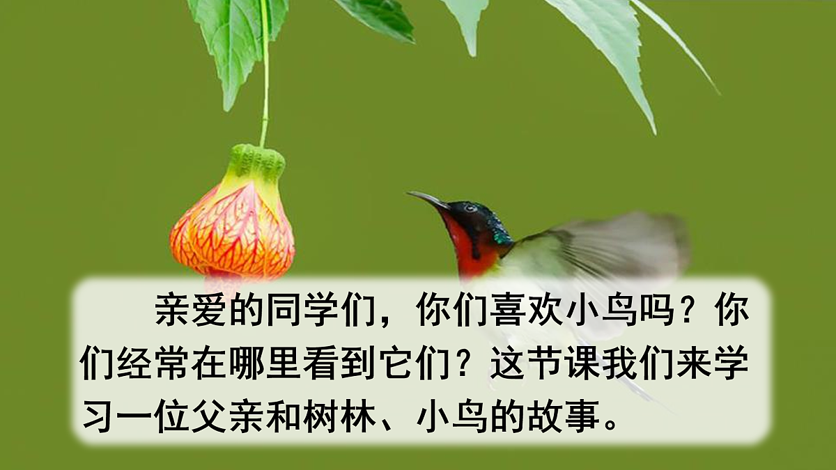 17463096第2页