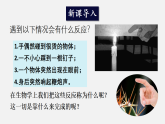 2026年春北师大七年级生物下册 10.1.2 反射的类型（课件）