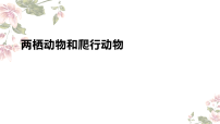 初中人教版（2024）两栖动物和爬行动物教课ppt课件