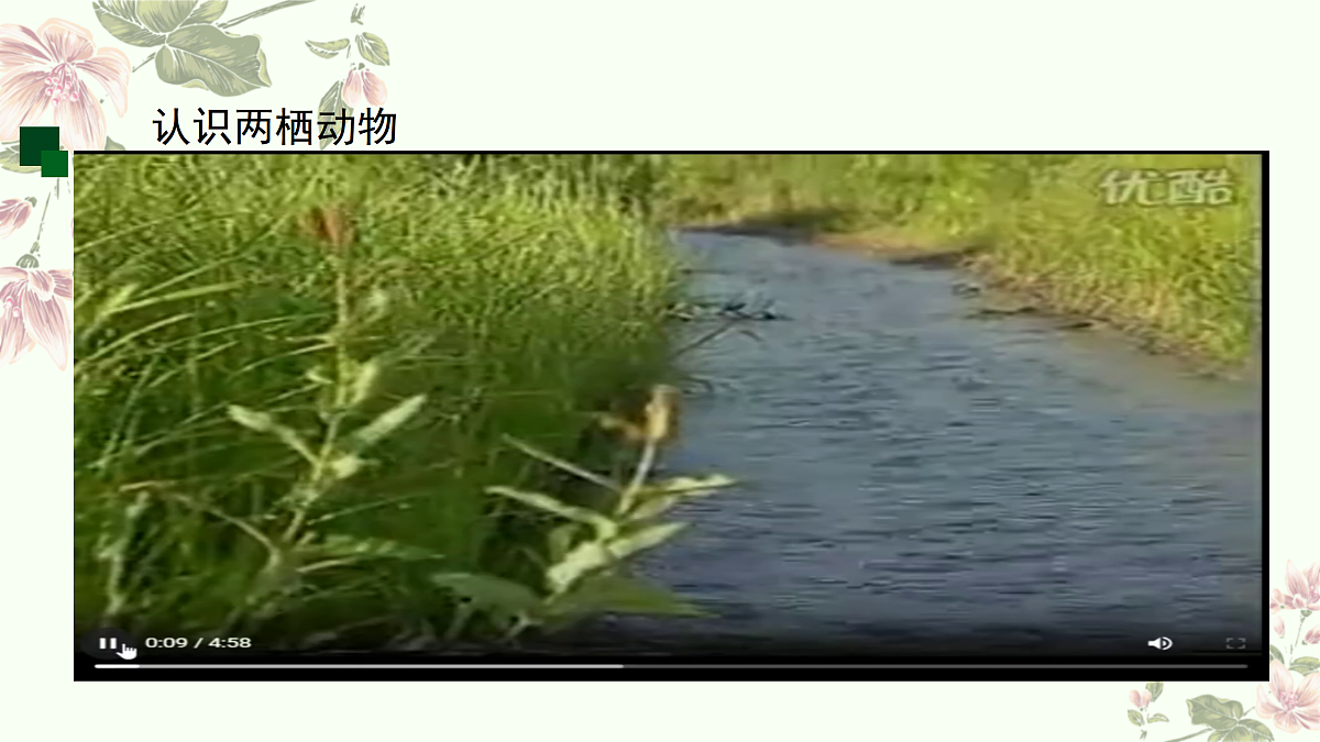 17463737第5页