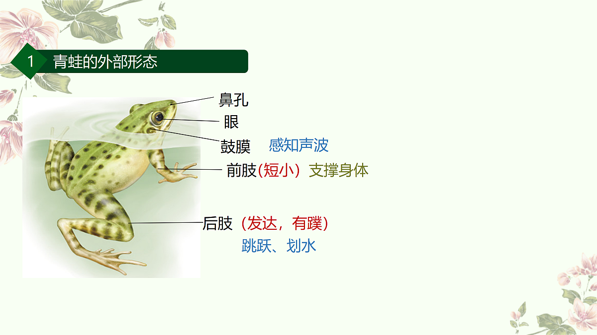 17463737第7页