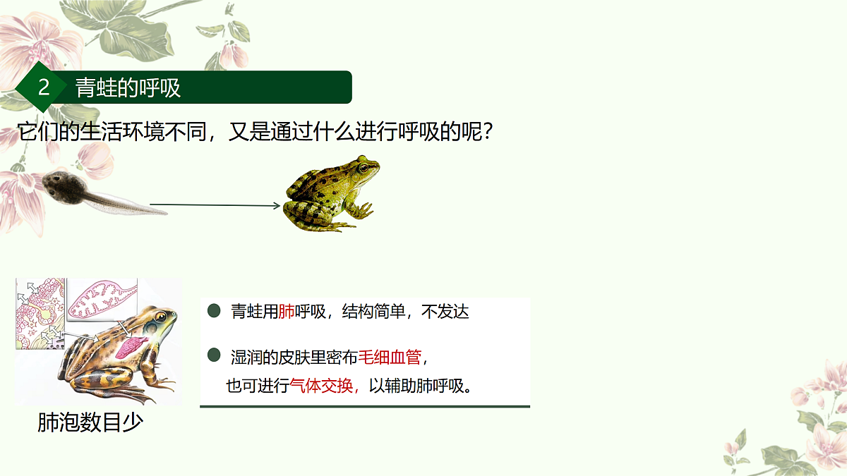 17463737第8页