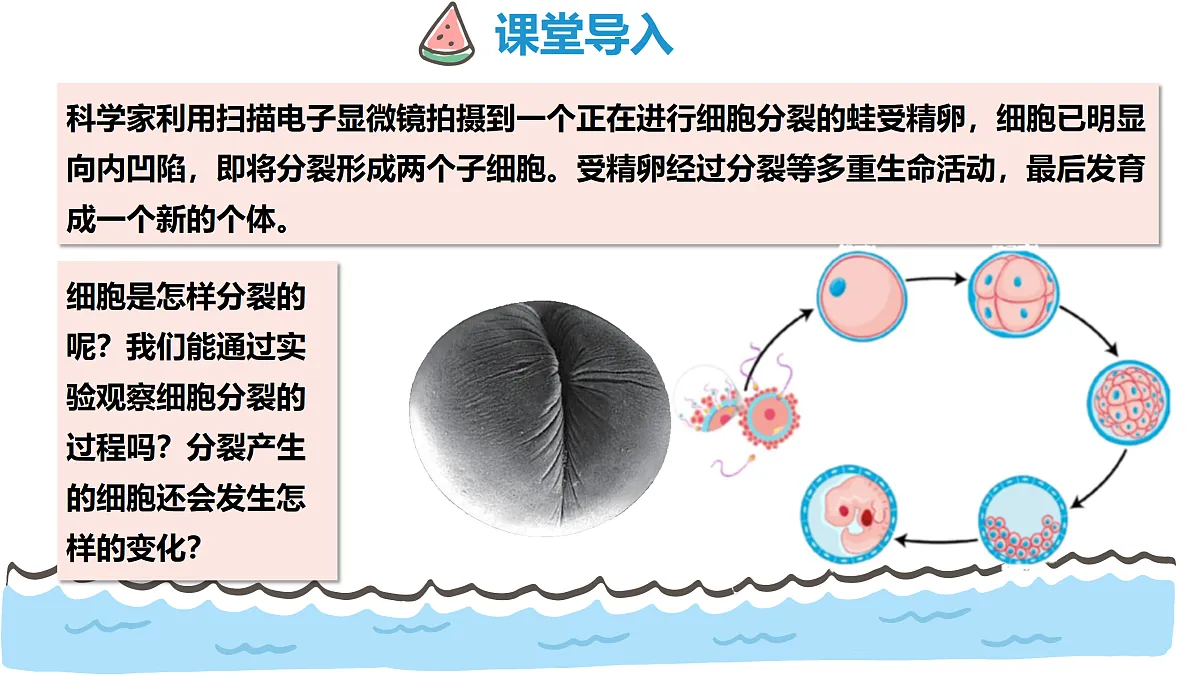 17463909第3页