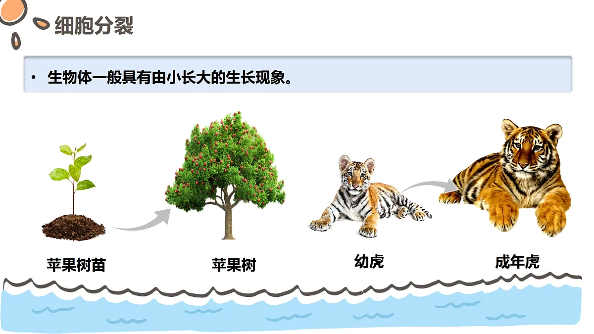 17463909第4页