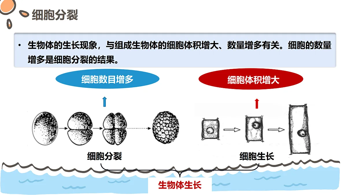 17463909第5页
