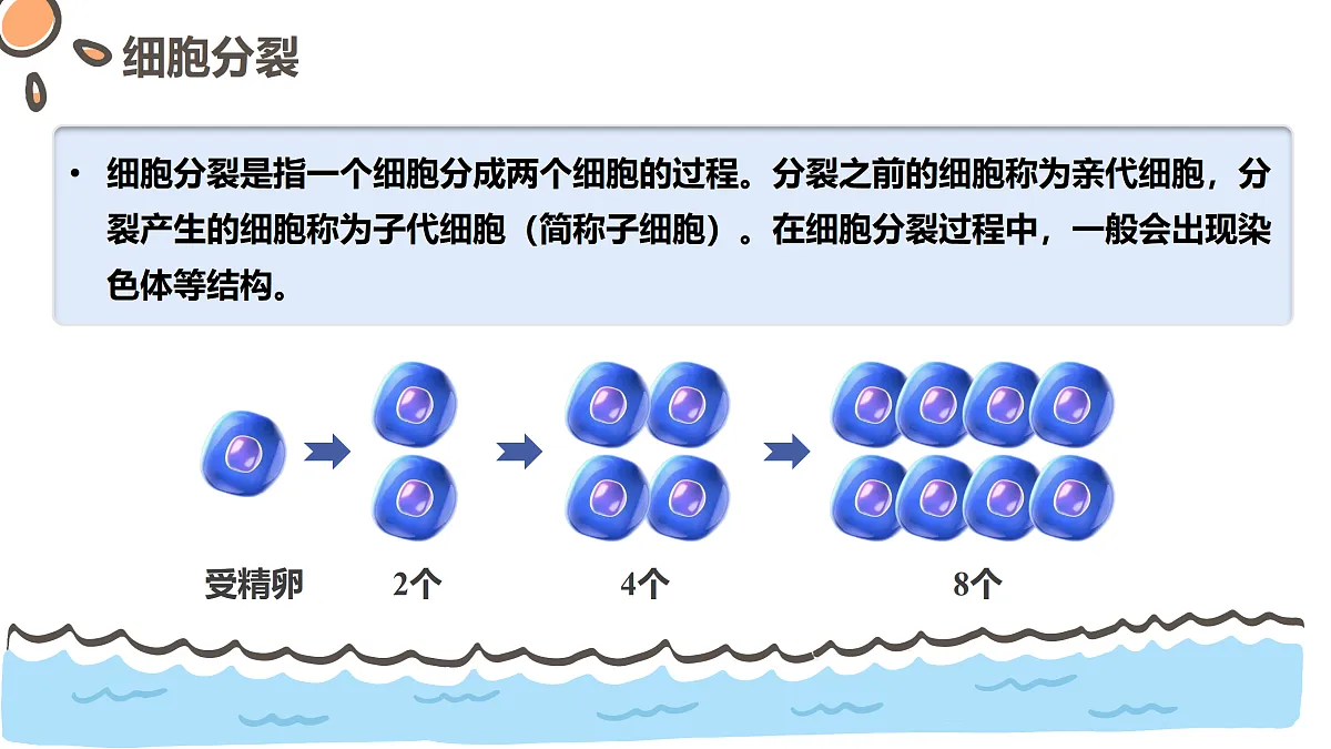 17463909第6页