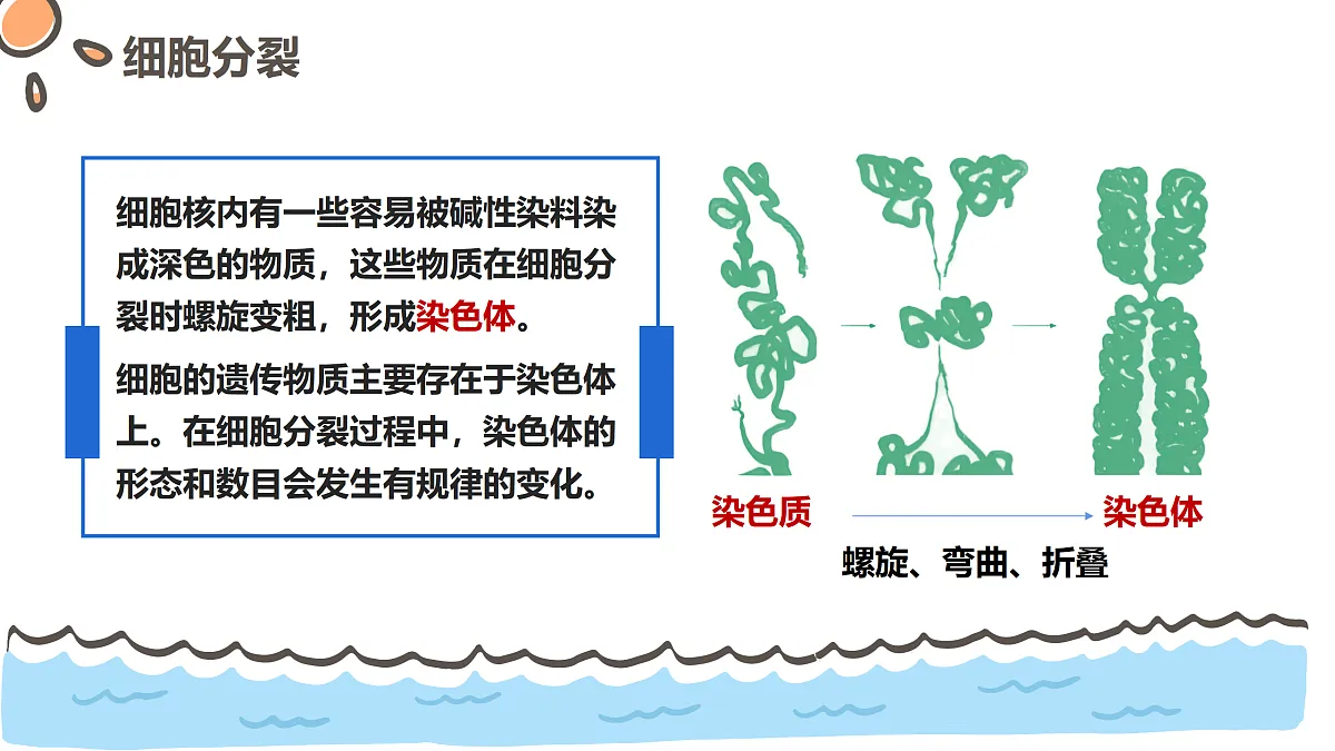 17463909第7页