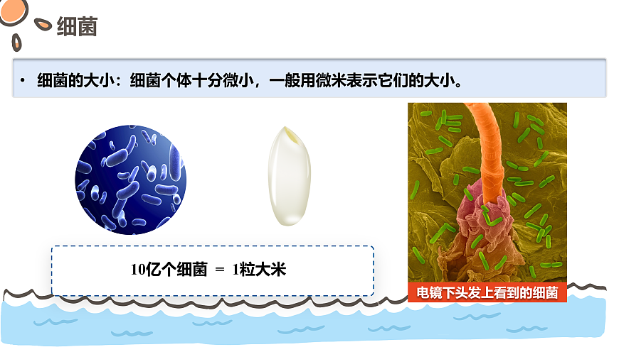 17463922第4页