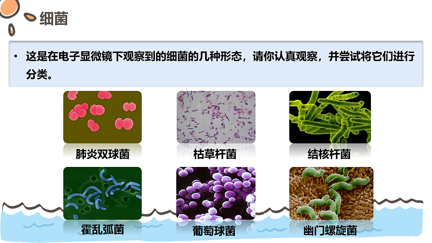 17463922第5页