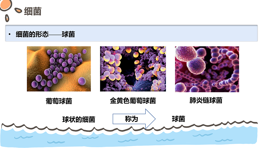 17463922第7页