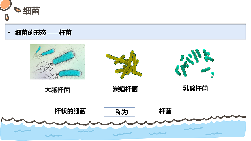 17463922第8页