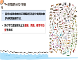 2.6.1生物的分类（教学课件）——初中生物学苏教版（2024）七年级上册