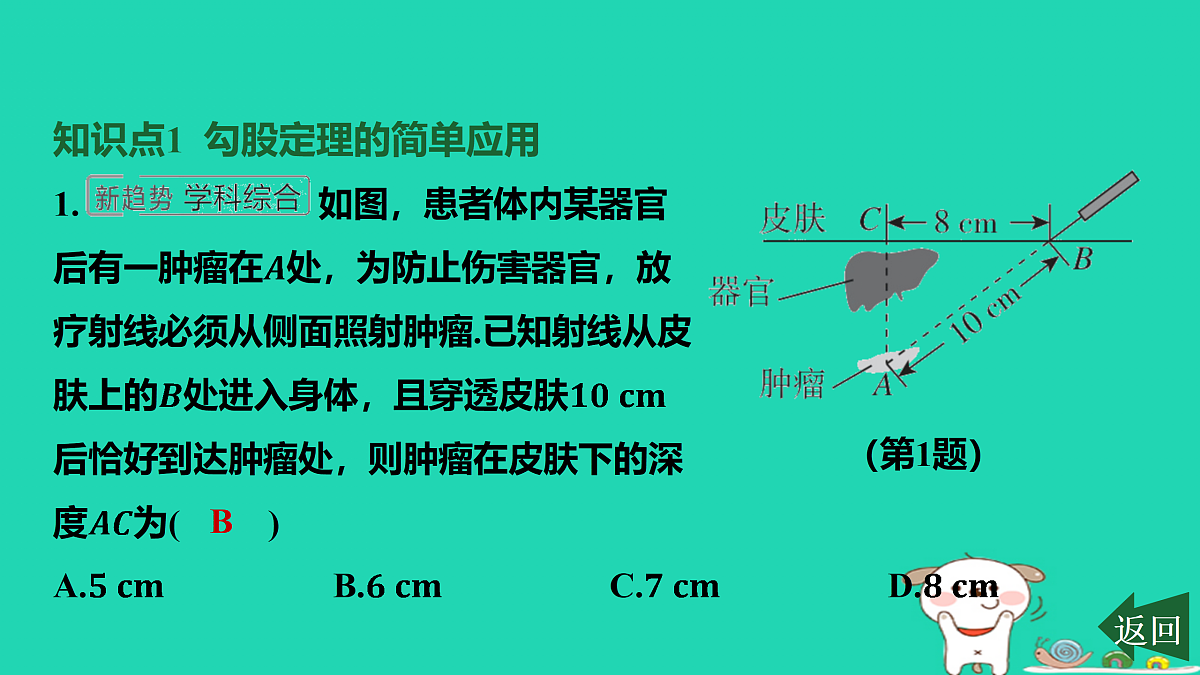 17464040第2页