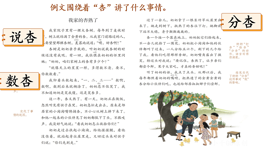 习作五：生活中的万花筒第3页