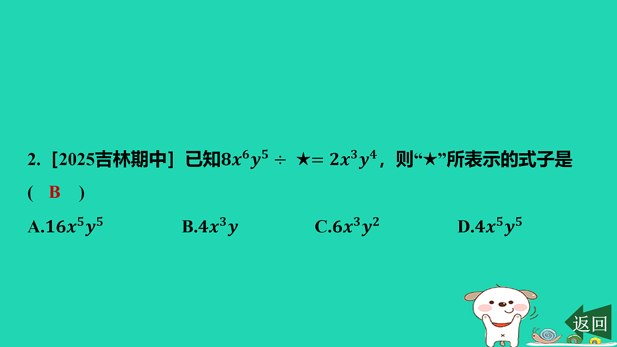 17464242第3页