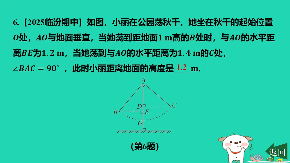 17464247第8页