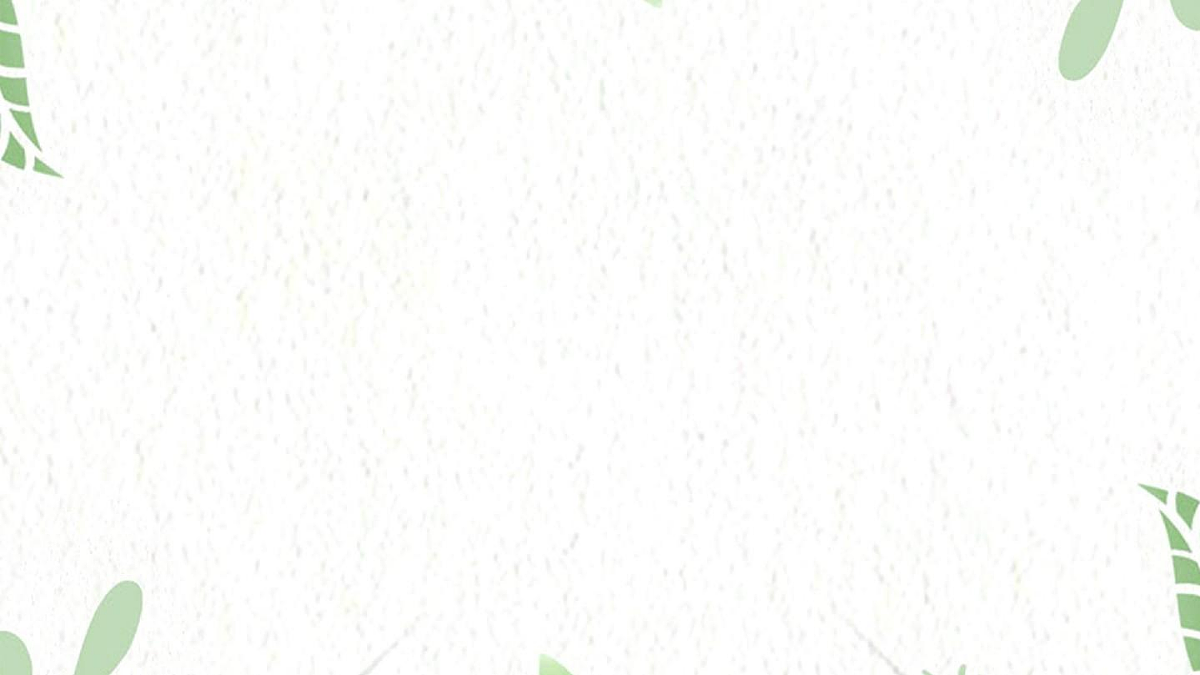 17464389第2页