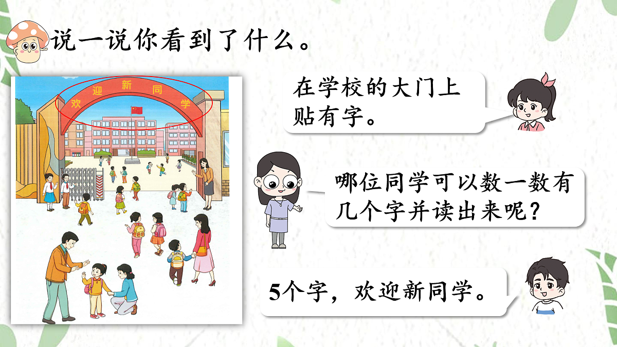 17464397第5页
