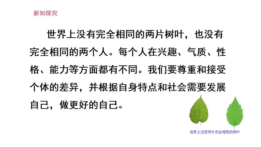 17464639第5页