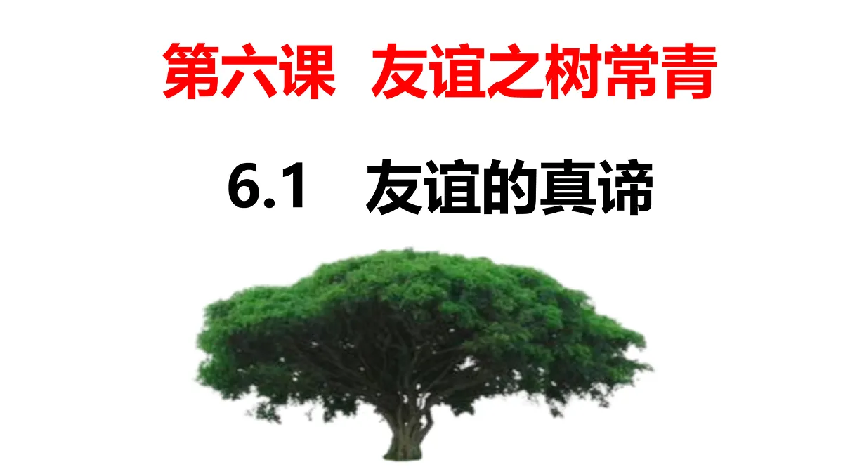 17464657第3页