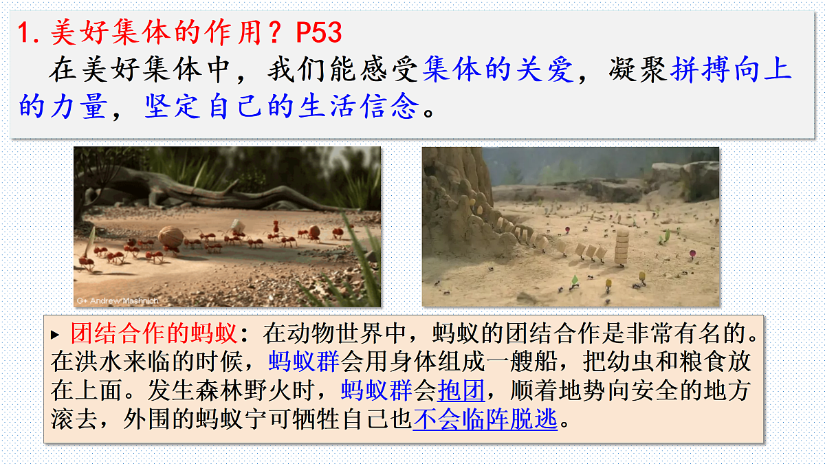 17464663第4页