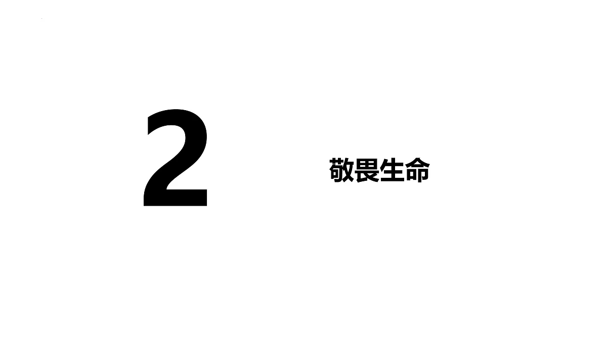 17464665第2页