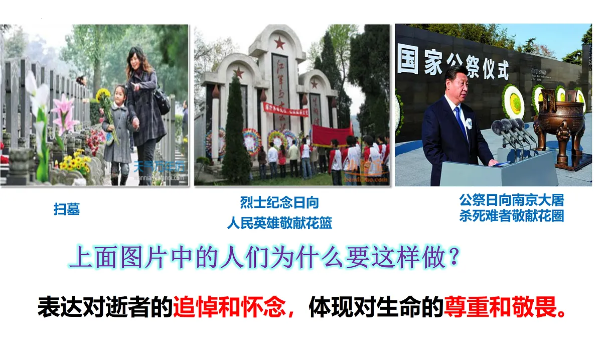 17464665第5页