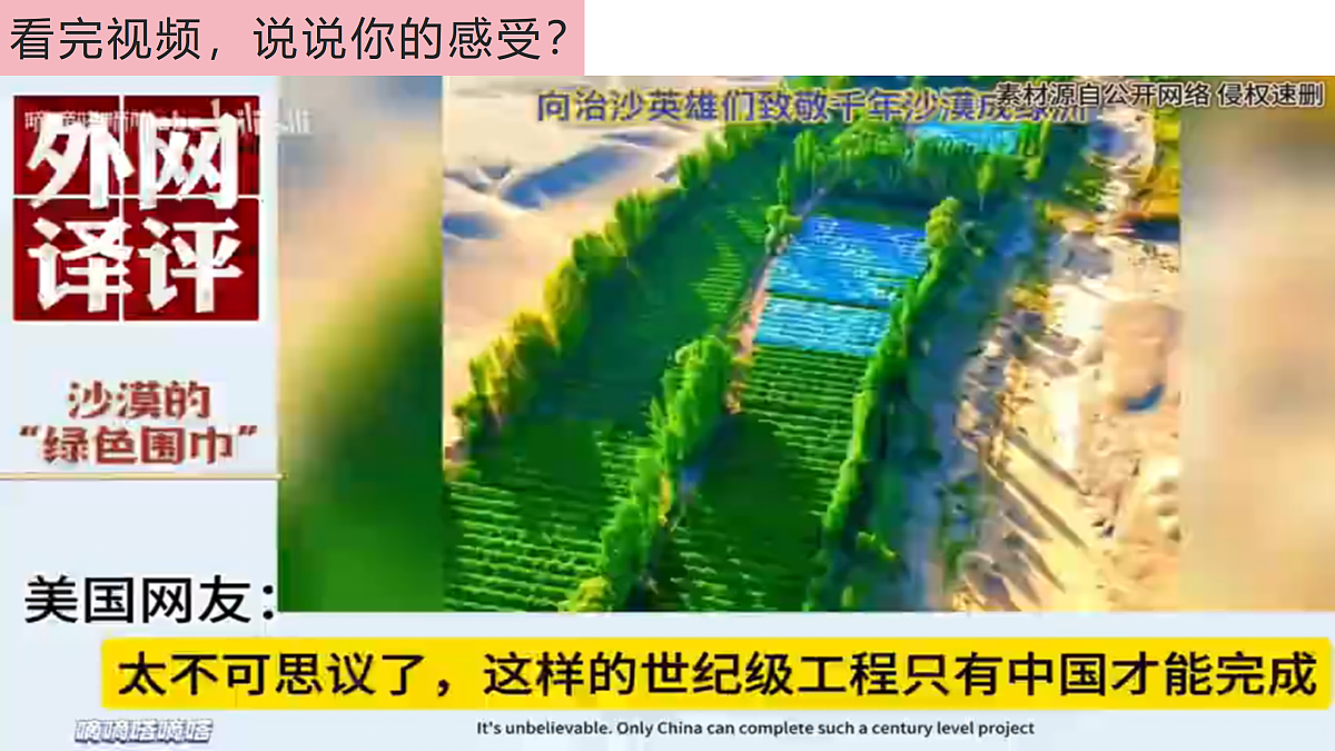 17464677第3页