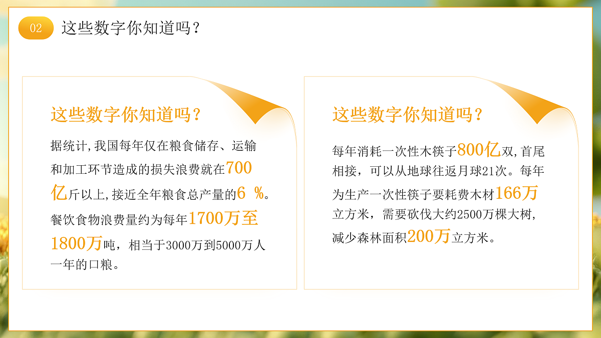 17464881第8页