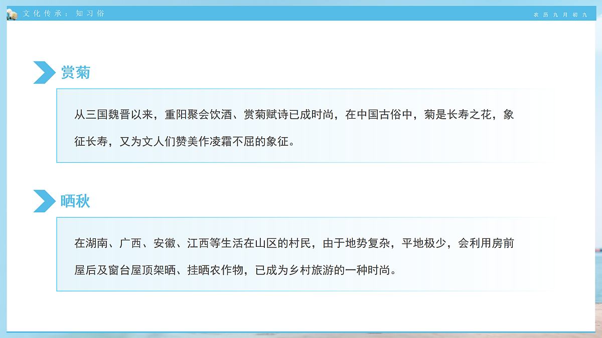 17464962第7页