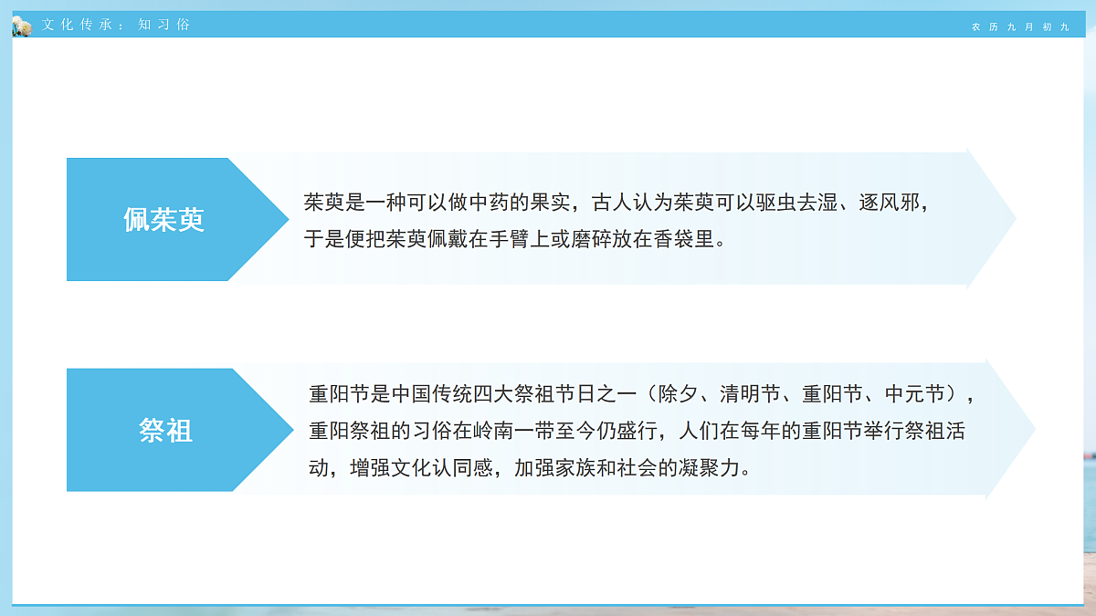17464962第8页