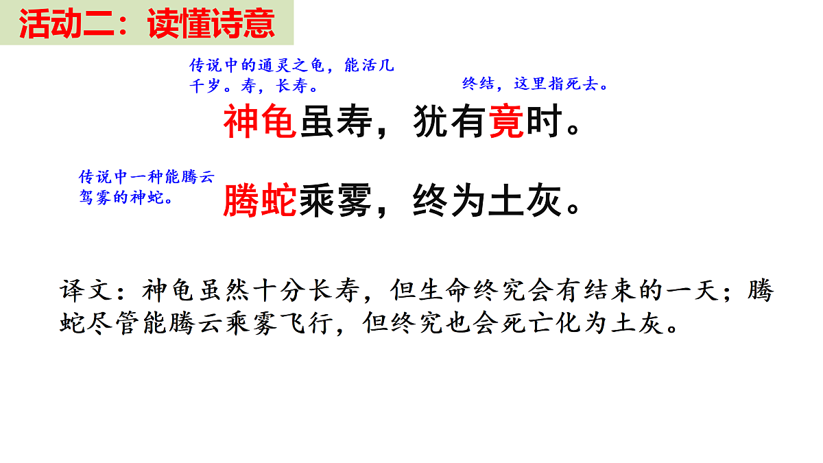 17465960第8页