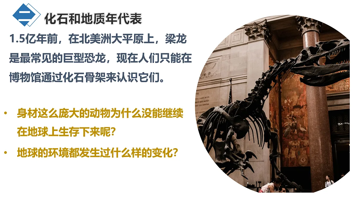 17468715第5页