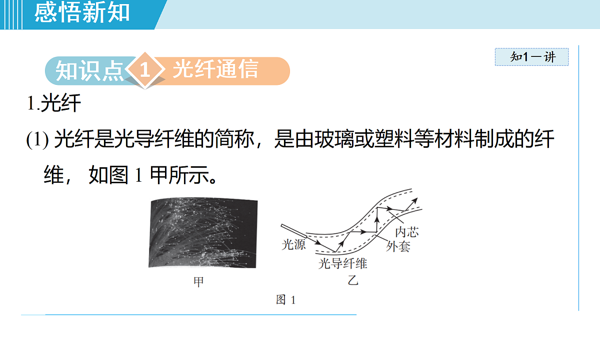 17469097第3页