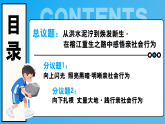 2.2养成亲社会行为课件-2025-2026学年统编版道德与法治八年级上册