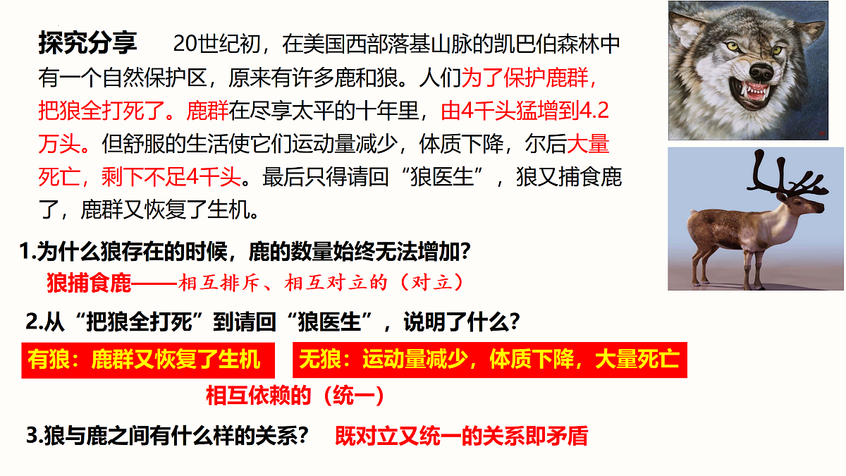 17469183第3页