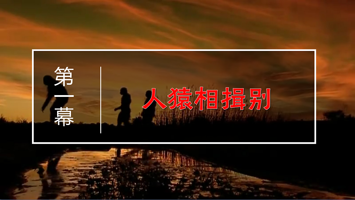 17469196第2页