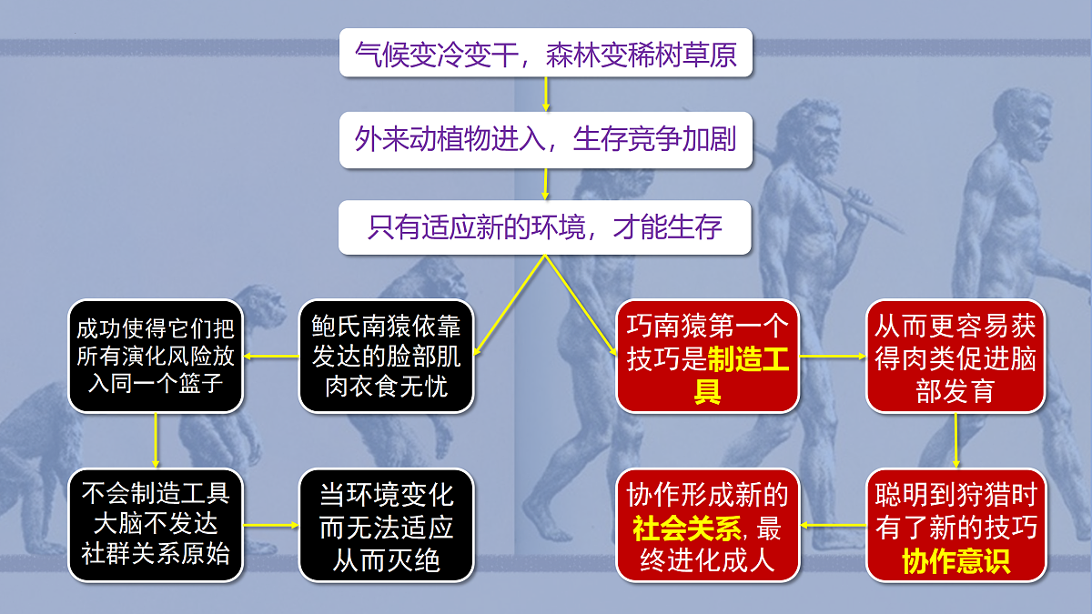 17469196第4页