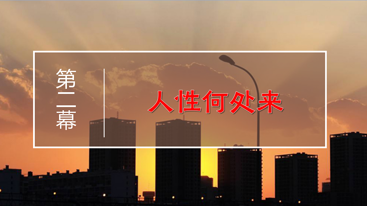 17469196第7页