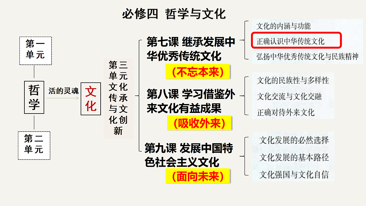 17469206第1页
