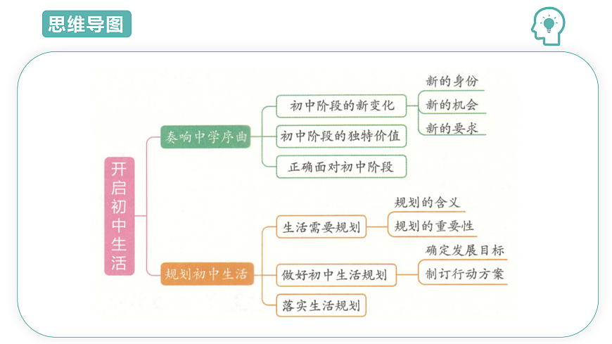 17469211第3页
