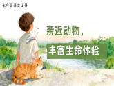 任务二 亲近动物，丰富生命体验（素养进阶教学课件）-2025-2026学年七年级语文上册（人教部编版2024）