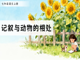 任务三 记叙与动物的相处（素养进阶教学课件）-2025-2026学年七年级语文上册（人教部编版2024）