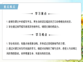 任务三 记叙与动物的相处（素养进阶教学课件）-2025-2026学年七年级语文上册（人教部编版2024）