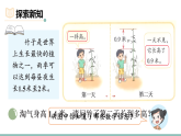 北师大版（2024）三年级数学上册7.5竹子的生长课件