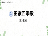 统编版语文二年级（上册）4.田家四季歌第2课时（2025版新教材）PPT课件