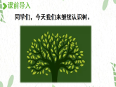 统编版语文二年级（上册）2.树之歌第2课时（2025版新教材）PPT课件