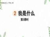 统编版语文二年级（上册）2.我是什么第2课时（2025版新教材）PPT课件