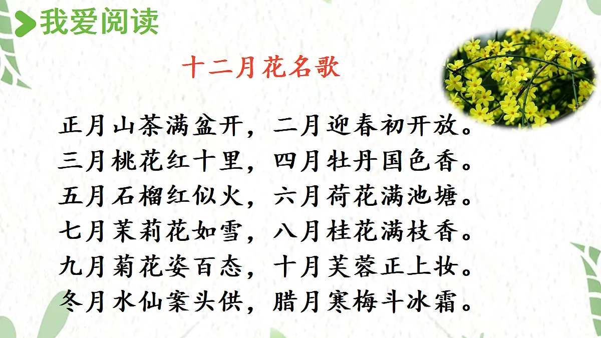 17472559第3页