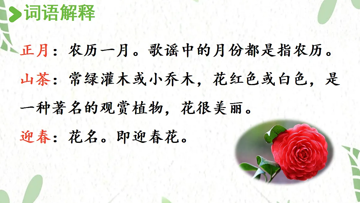 17472559第4页